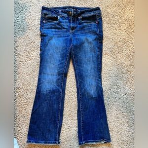 American Eagle Outfitters original boot jeans size 12